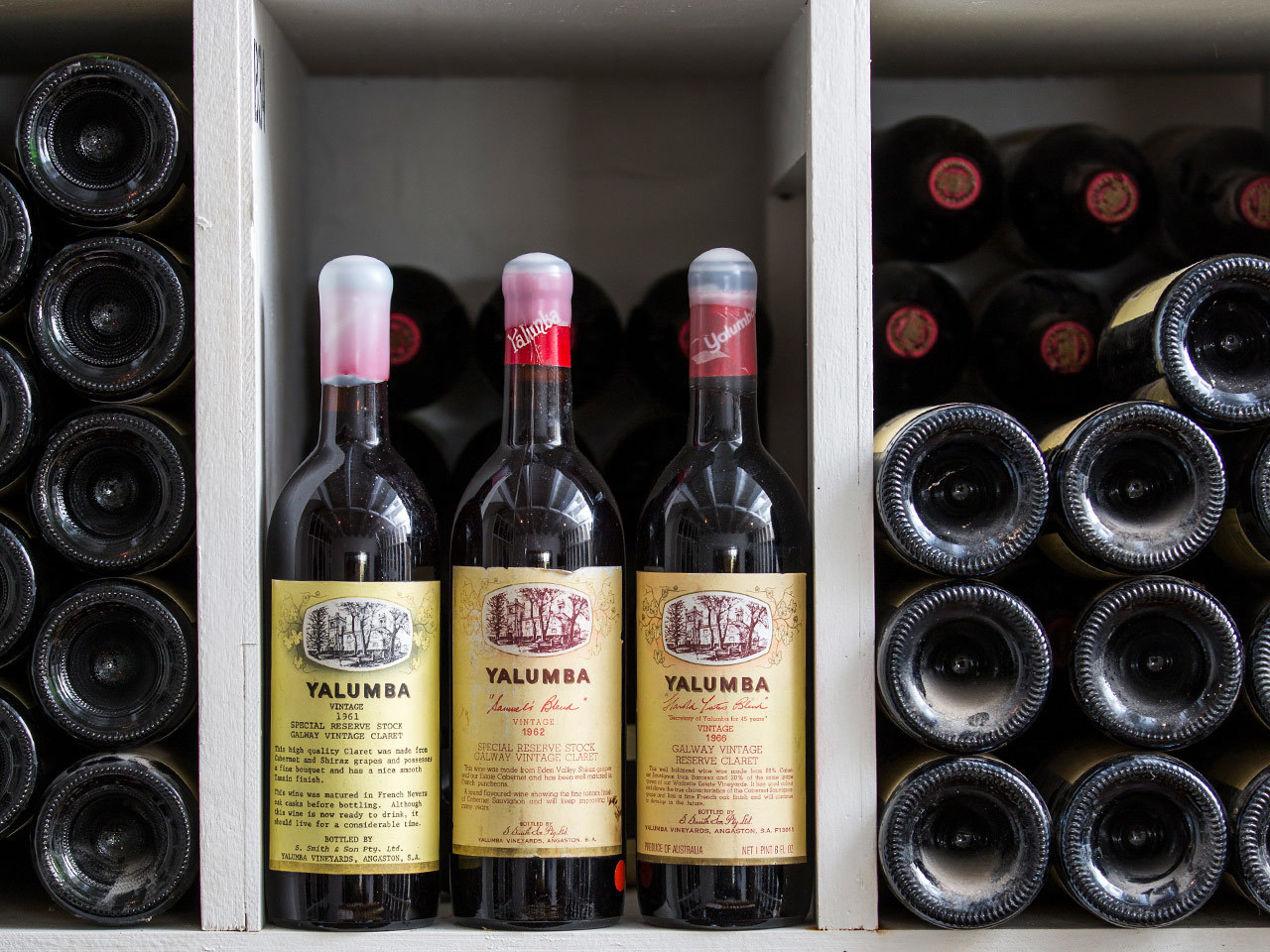 Vintage Yalumba wine bottles in wine rack cellar