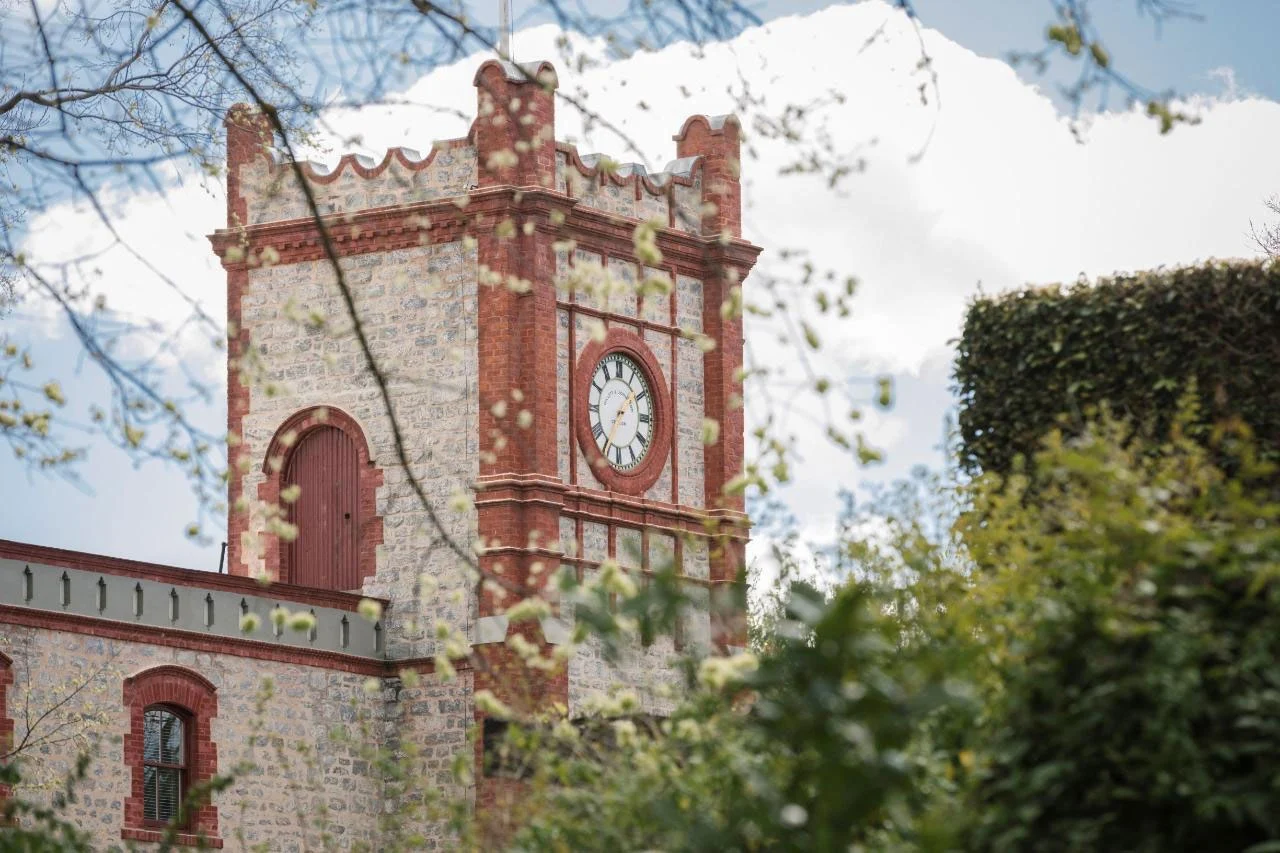 A view of the
                Yalumba clock tower through the tress