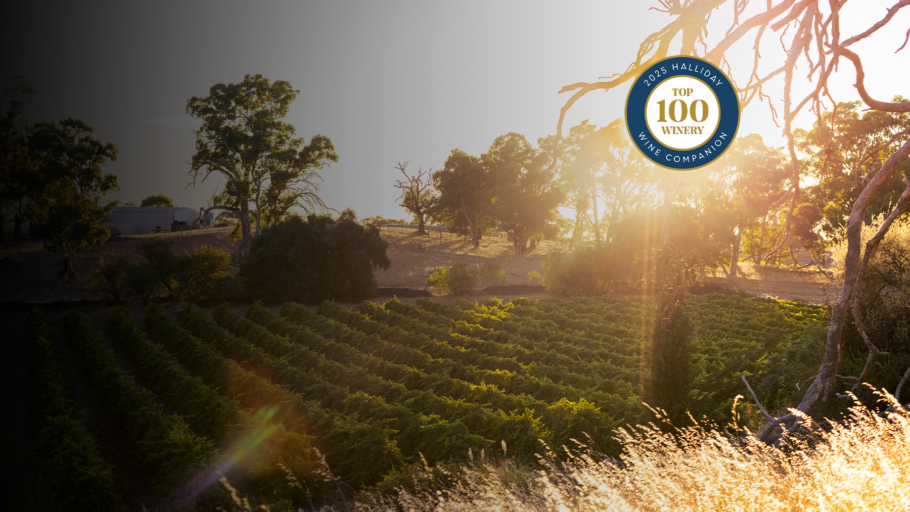 Halliday Top 100 Wineries 11th Place