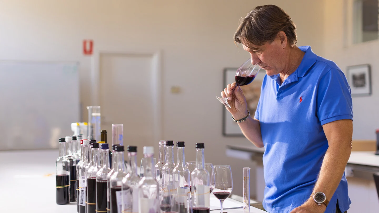 Winemaker in blue shirt evaluating red wine samples with multiple bottles on table